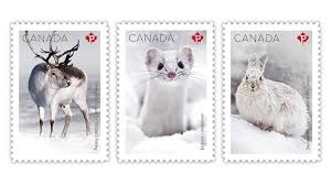 If you have enough to equal the current stamp price, use them as you would use the new, permanent stamps. Canada Shows Off Its Snow Mammals On New Stamps