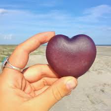 Image result for Entada gigas