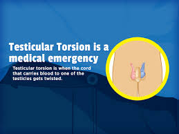 Stretching the scrotum, in my experience, does nothing to make the testis larger. Testicular Torsion For Parents Nemours Kidshealth