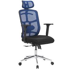 Topsky Mesh Computer Office Chair Ergonomic Design Chair Skeletal Back 3d Armrest Synchronous Mechanismhanger Function Navy Black In 2020 Chair Design Office Chair Ergonomics Design