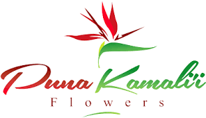 We did not find results for: Tropical Flowers For Sale Hawaiian Flower Delivery Puna Kamali I