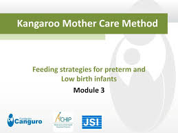 ppt kangaroo mother care method powerpoint presentation