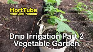 Drip irrigation is one of the most effective ways to irrigate a wide variety of plantings around your yardscape. How To Install Drip Irrigation Part 2 Vegetable Garden Youtube