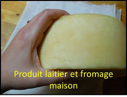Generalite Fournisseurs Distributeurs Quebec Et Ou Canada Materiel Pour Faire Fromage Maison Presure Biorennet Junket Renn Food Cheese Dairy