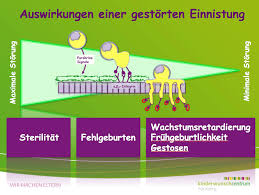 Wo erhält man das dokument? Einnistungsstorungen Des Embryos