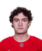 2024 Preseason Detroit Red Wings Stats & Leaders