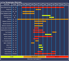 Pa Fly Fishing Hatch Chart Image Of Fishing