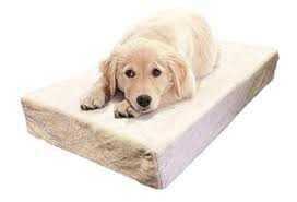 If you have been looking for a quality dog bed, you might saw some of milliard's. Eln Dog Store Milliard Premium Orthopedic Memory Foam Dog Bed With Anti Microbial Waterproof Non Slip Cover Large 40x35x4 In Eln Dog Store