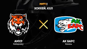Минифуфайка сувенирная без № белая ак барс. Khl Amur Ak Bars
