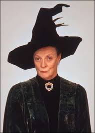 Image result for Harry Potter Professor McGonagall Adult Fancy Dress Costume