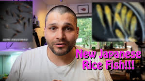 Unboxing Surprise: Ultra-Rare Japanese Rice Fish (Medaka) Eggs