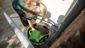 It makes the reader is easy to know the meaning of the contentof this book. Garten Regentonnen Und Zisternen Gegen Wasserknappheit Br24