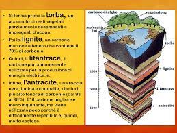 La sua estrazione viene eseguita con vari metodi, a seconda della profondità del deposito in un particolare campo. Gli Ambienti Favorevoli Alla Formazione Del Carbone Sono Le Vaste Pianure Costiere Lagunari O Paludose Dove Il Clima Caldo Umido Ha Sviluppato In Passato Ppt Scaricare