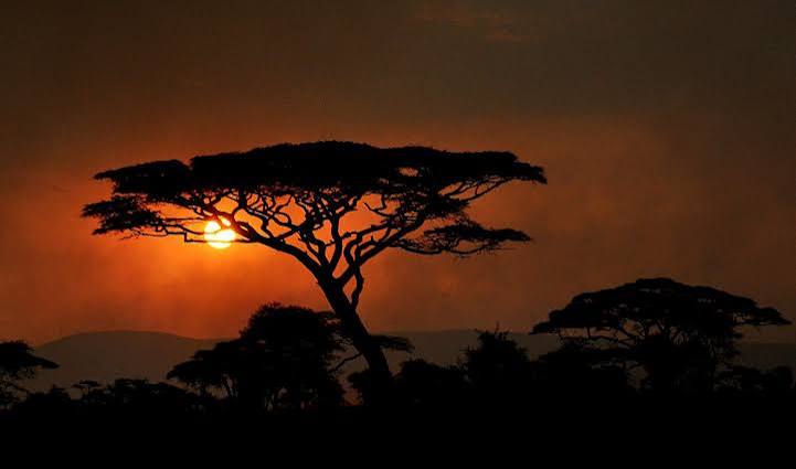 Serengeti National Park