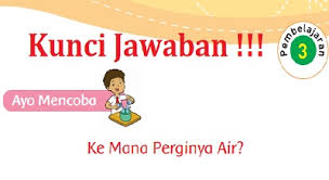 Kunci Jawaban Tema 3 Kelas 3 Halaman 142 143 144 145 146 149 150 151 Lengkap