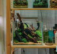 Tall Rimless Glass Aquariums & Tanks