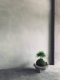 climateria モルタル壁 版築 壁