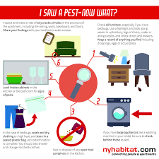 While just about any type of pest can invade a hotel, there are some that are more prevalent in this particular environment, such as Tips For Keeping Your Nyc Apartment Pest Free New York Habitat Blog