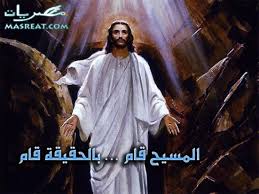 فهذه الأشجار تعمل على إضفاء أجواء وأضواء احتفالية. ØµÙˆØ± Ø¹ÙŠØ¯ Ø§Ù„Ù‚ÙŠØ§Ù…Ø© 2021 Ø£Ø¬Ù…Ù„ Ø®Ù„ÙÙŠØ§Øª Ù…ØµÙˆØ±Ø© Ø¨Ù…Ù†Ø§Ø³Ø¨Ø© Ø§Ù„ÙØµØ­ Ø§Ù„Ù…Ø¬ÙŠØ¯