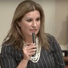 Minnesota Rep. Mary Franson receiving backlash for Facebook post about US  Capitol riots