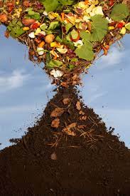 Ofa Composting Guide Compost Compost Bin Garden Compost