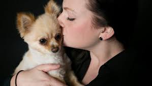 I Love My Pet!' photo event: Part II