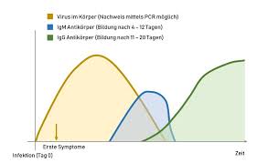 Faq Coronavirus Antikorper Schnelltest Sars Cov 2 Toxcontrol Diagnostik