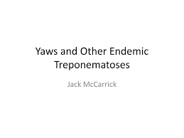 Ppt Yaws And Other Endemic Treponematoses Powerpoint Presentation Free Download Id 5475256
