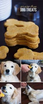5 Ingredient Grain Free Diy Dog Treats Recipe Dog Treats Grain Free Dog Food Recipes Grain Free Dog Treats Recipes