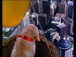 Custom pet art custom pet paintings. How High I Ll Fly Napoleon 1996 Australian Version Youtube