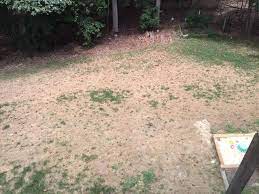 Scotts southern gold mix grass seed for my crappy lawn!!! Scotts Turf Builder Southern Gold Mix Grass Seed Walmart Com Walmart Com