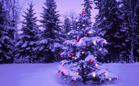 If you're in search of the best christmas wallpaper for computer background, you've come to the right place. 60 Computer Christmas Wallpaper On Wallpapersafari