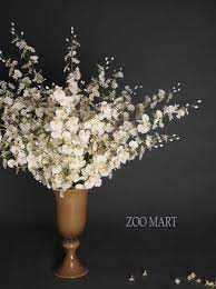 護花tips 如何養護蘭花 orchid care orchids place card holders