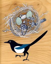 Magpie Nest Magpie Art Art Bird Art