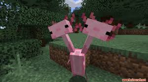 This is an unofficial application for minecraft pocket edition. Axolotls Mod 1 15 2 Criaturas Unicas Y Adorables Minecraft