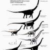 Although argentinosaurus is twice as long as the blue whale, it only weighs half as much. Https Encrypted Tbn0 Gstatic Com Images Q Tbn And9gcsqvphad24wuthl Wdktc1o2nl69fnru5esowupezc08ell9kzg Usqp Cau