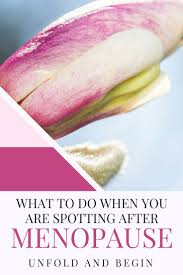 Pin On Unfold And Begin Blog