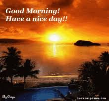 With tenor, maker of gif keyboard, add popular good morning animated gifs to your conversations. 25 Best Looking For Good Morning Beautiful Sunrise Gif Major League Wins
