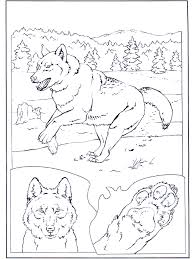Ausmalbilder wolf in der rubrik ausmalbilder wölfe zum ausdrucken und ausmalen. Wolf In Der Schnee Malvorlagen Zoo
