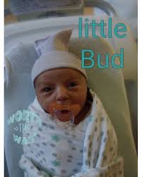 hard recovery from birth