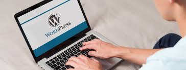 These are meant to be sold over and over again to suit . Custom Wordpress Website Development Triad Web Design Service