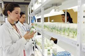 Maestría en Investigación y Desarrollo de Plantas medicinales