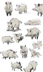 Uwe Heidschotter Animal Drawings Animal Sketches Character Design Animation