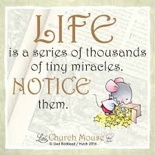 Life Is A Series Of Thousands Of Tiny Miracles Pin On Remember