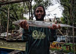 Penenggelaman kapal tangkap ikan yang diawaki oleh nelayan asing asal vietnam dilakukan di sekitar perairan kabupaten kepulauan anambas, 5 desember 2014. Melaut 30 Tahun Nelayan Perempuan Di Demak Pernah Ditabrak Kapal