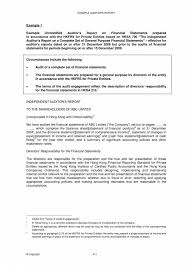 In many cases, the report identifies areas that may need more. Free 11 External Audit Report Samples Templates In Pdf Ms Word