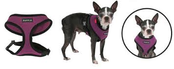 Product Review Puppia Soft Harness Dogtime