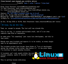 Bcachefs 更新引发争议，Linux 之父与开发者激烈交锋- Linux迷