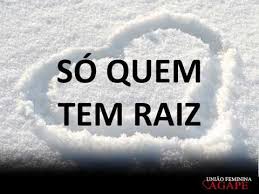 Só quem tem raiz nada é por acaso, nada é em vão na vida com deus, tudo tem uma razão cada vale que eu atravessei cada deserto que eu sobrevivi trouxe um. So Quem Tem Raiz Sarah Farias Playback Com Letra Youtube