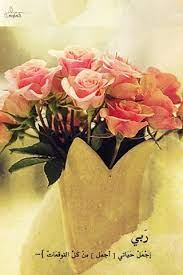 صور اكسسوارات بنات للايفون 2013 خلفيات كشخة للايفون 2014 صور رمزيات ايفون flowers rose plants